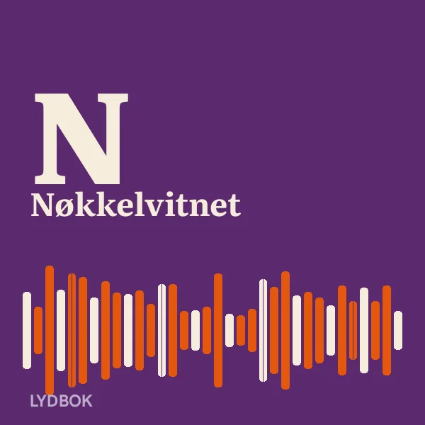 Nøkkelvitnet